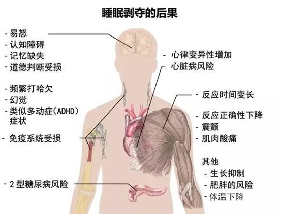 人體解析睡眠剝奪的后果